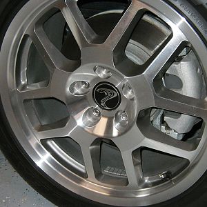 Custom Snake Center Caps For Gt500 Wheels