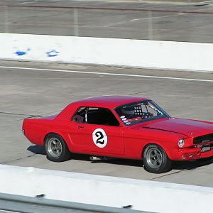 1965 Mustang Fia Race Car