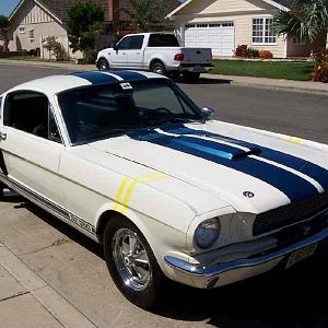 66 Gt350