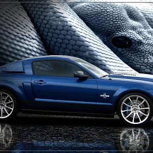 A Super Snake