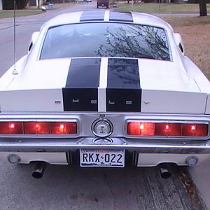 1968 Shelby Mustang 018