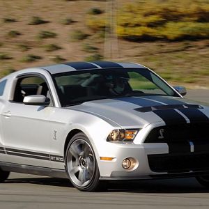 2010 Shelby