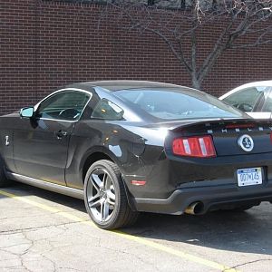 2010 Shelby