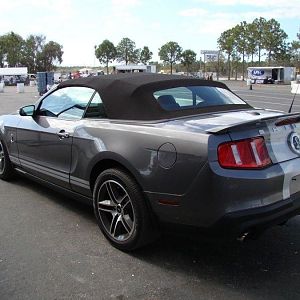 2010 Shelby