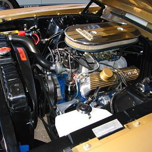 1968 Gt350 Gold Engine