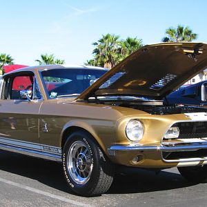 1968 Gt350 Front