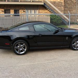 2010 Shelby