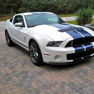 2010 Shelby Gt500