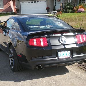 Shelby 2010