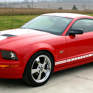 Wife Supercharged Mustang Gt