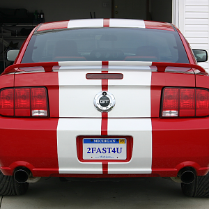 Wife Supercharged Mustang Gt