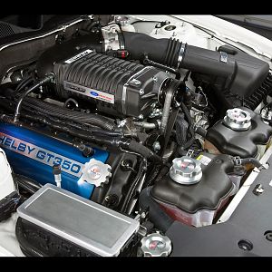 2011 Shelby Gt350 Engine