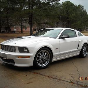 Stripracer's 07 Shelby Gt