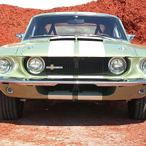 67 Gt350 #3000