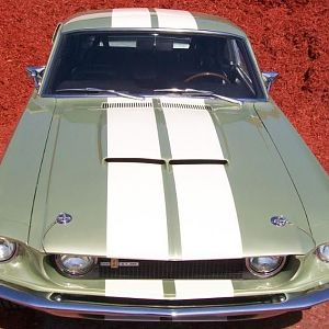 67 Gt350 #3000