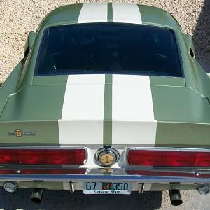 67 Gt350 #3000