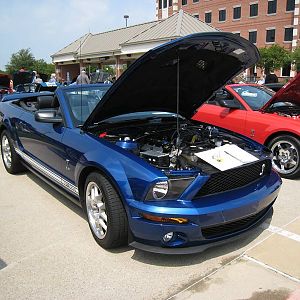 Shelby Shootout 2011