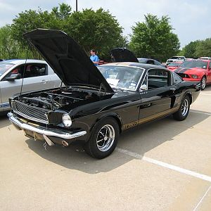 Shelby Shootout 2011 1966 Gt350h