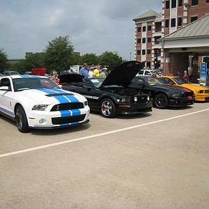 Shelby Shootout 2011