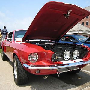 Shelby Shootout 2011 1967 Gt350