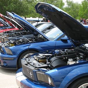 Shelby Shootout 2011