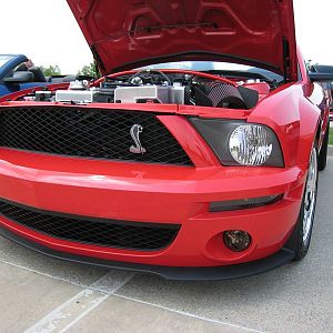 Shelby Shootout 2011