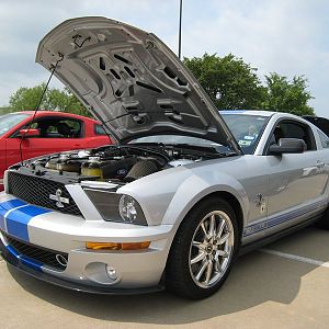 Shelby Shootout 2011 Gt500kr