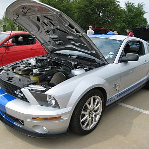 Shelby Shootout 2011 Gt500kr