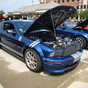 Shelby Shootout 2011 Shelby Gt