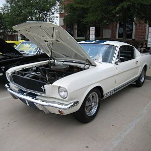 Shelby Shootout 2011 1965 Gt350