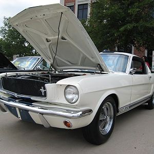 Shelby Shootout 2011 1965 Gt350