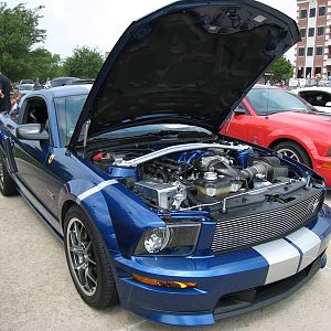 Shelby Shootout 2011 Shelby Gt