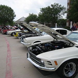 Shelby Shootout 2011