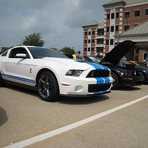 Shelby Shootout 2011