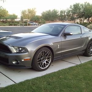 2011 Shelby