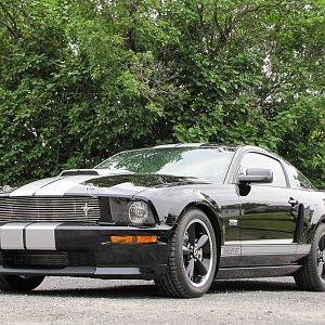 2007 Mustang Shelby Gt