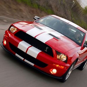 Shelby Mustang Gt500