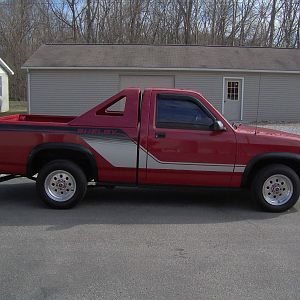 89 Shelby Dakota