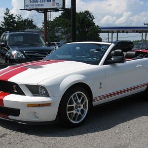 08 Shelby Gt500