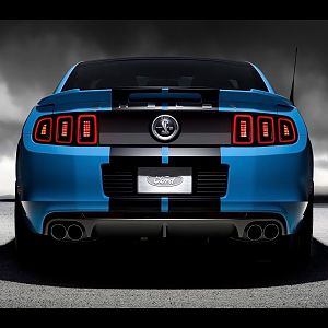 2013 Shelby Gt500 Rear