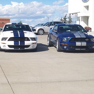 2007 GT500 40th Anniversary Package