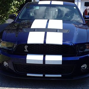 2011 Shelby GT500