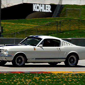 My 66' Shelby GT350 Tribute