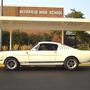 My 66' Shelby GT350 Tribute