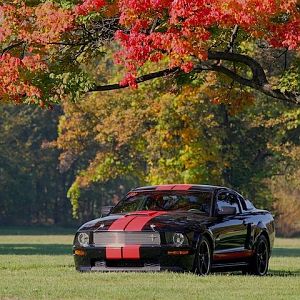 Barrett-Jackson Shelby GT  Limited