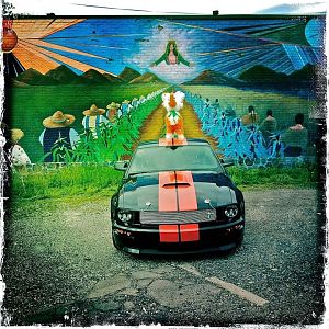 2008 Barrett-Jackson Shelby gt Limited