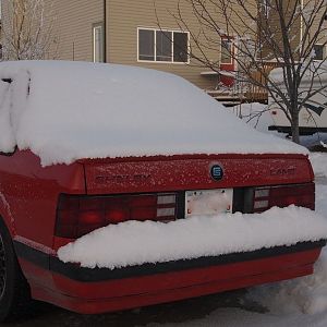 Shelby Lancer #176