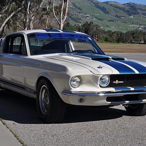 67 GT350