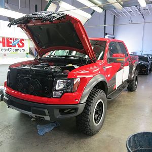 Shelby Raptor