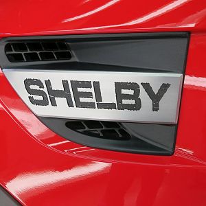 Shelby Raptor Emblem